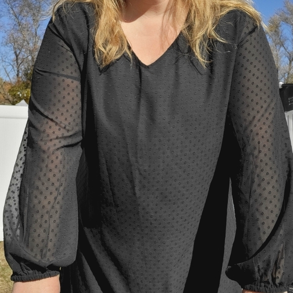 Clip Dot Sheer Sleeve Sheath Dress Size 2X - Picture 3 of 12